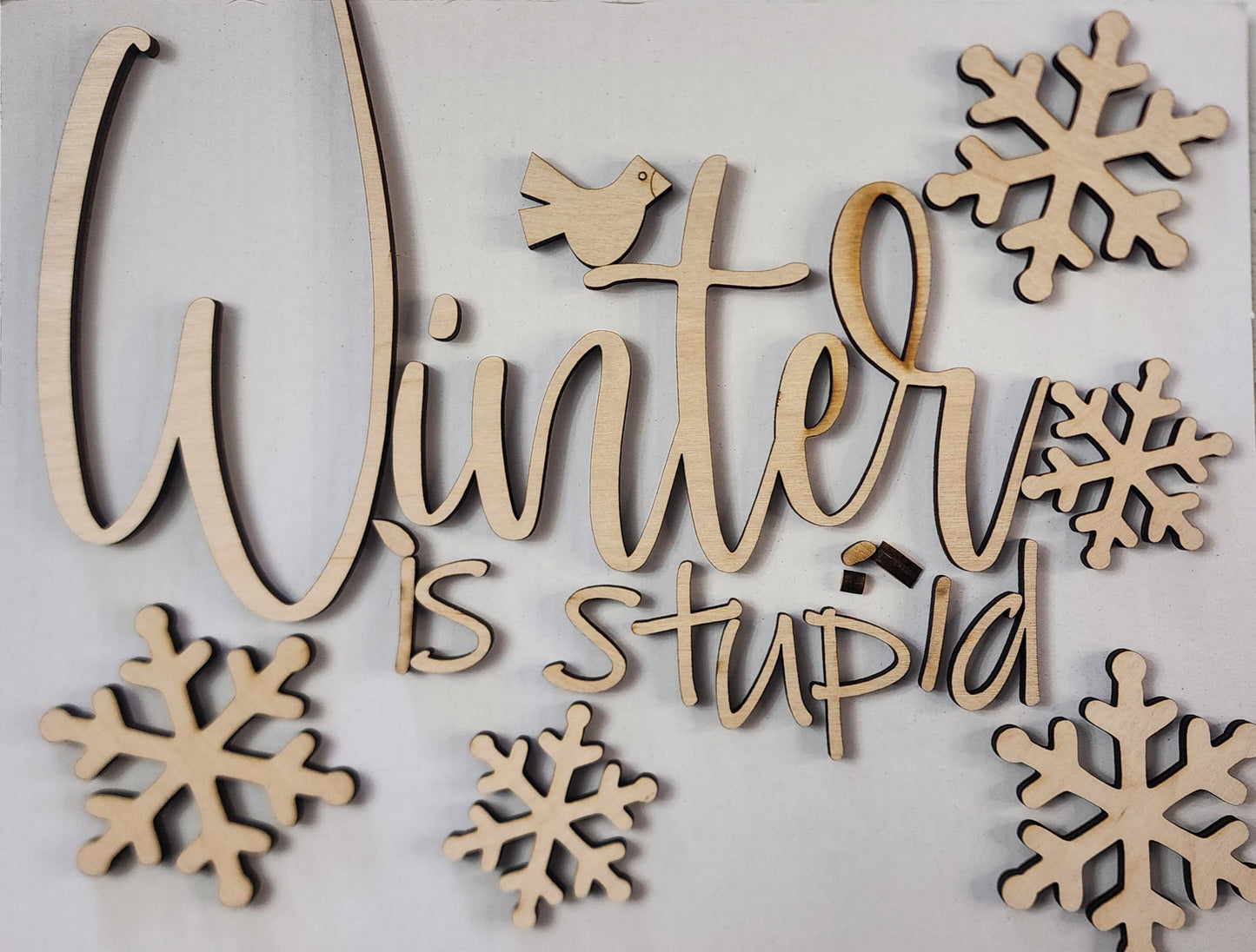 Winter is Stupid WITHOUT round backer