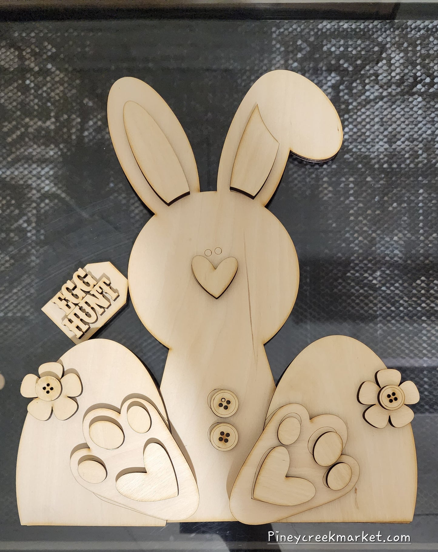 CUTE Chunky Bunny!