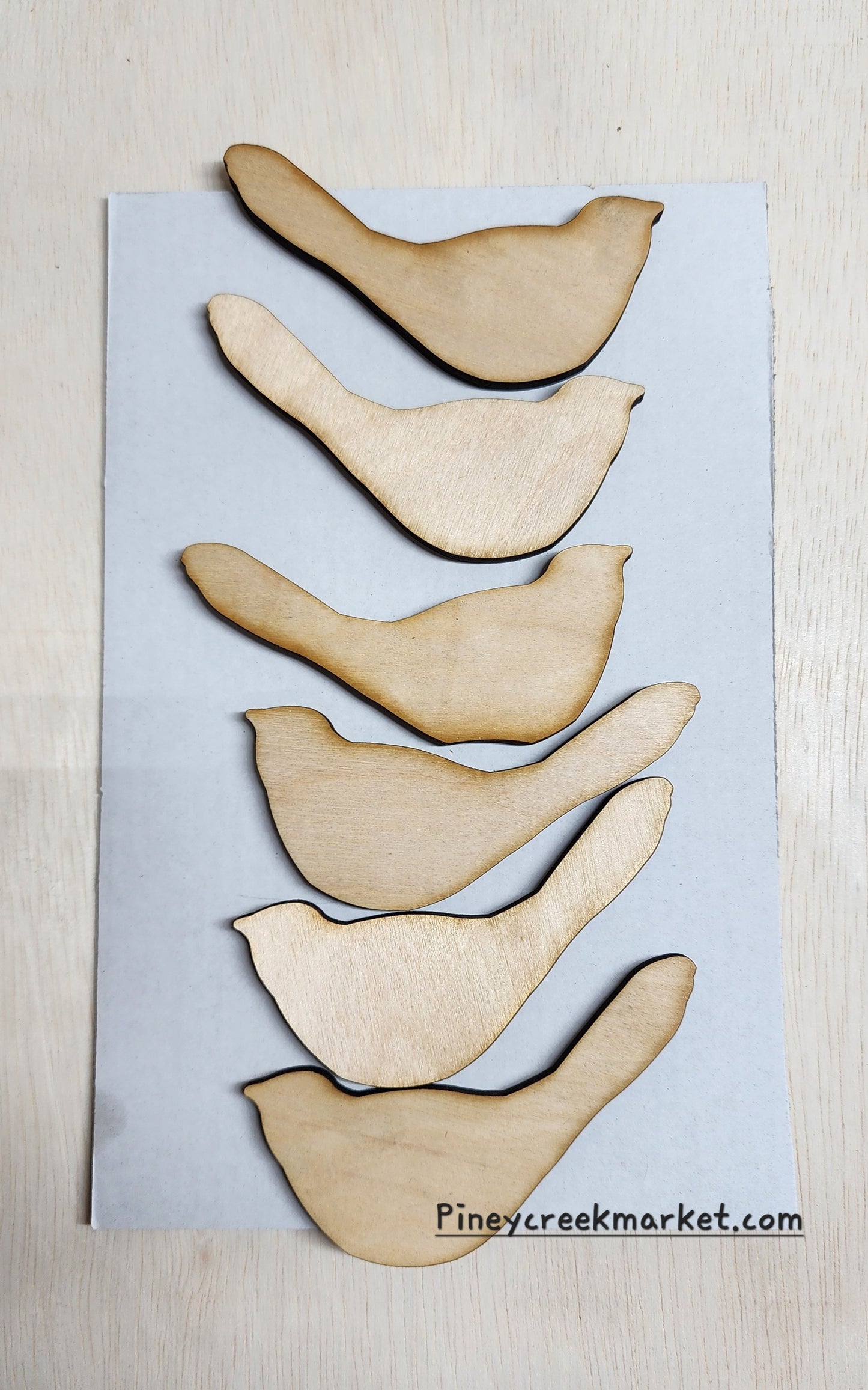 6 small Birds