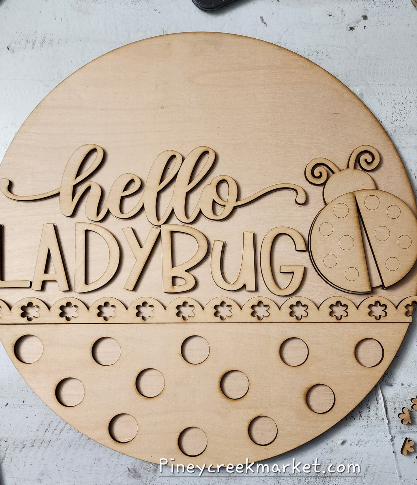 Hello Lady Bug Door Hanger