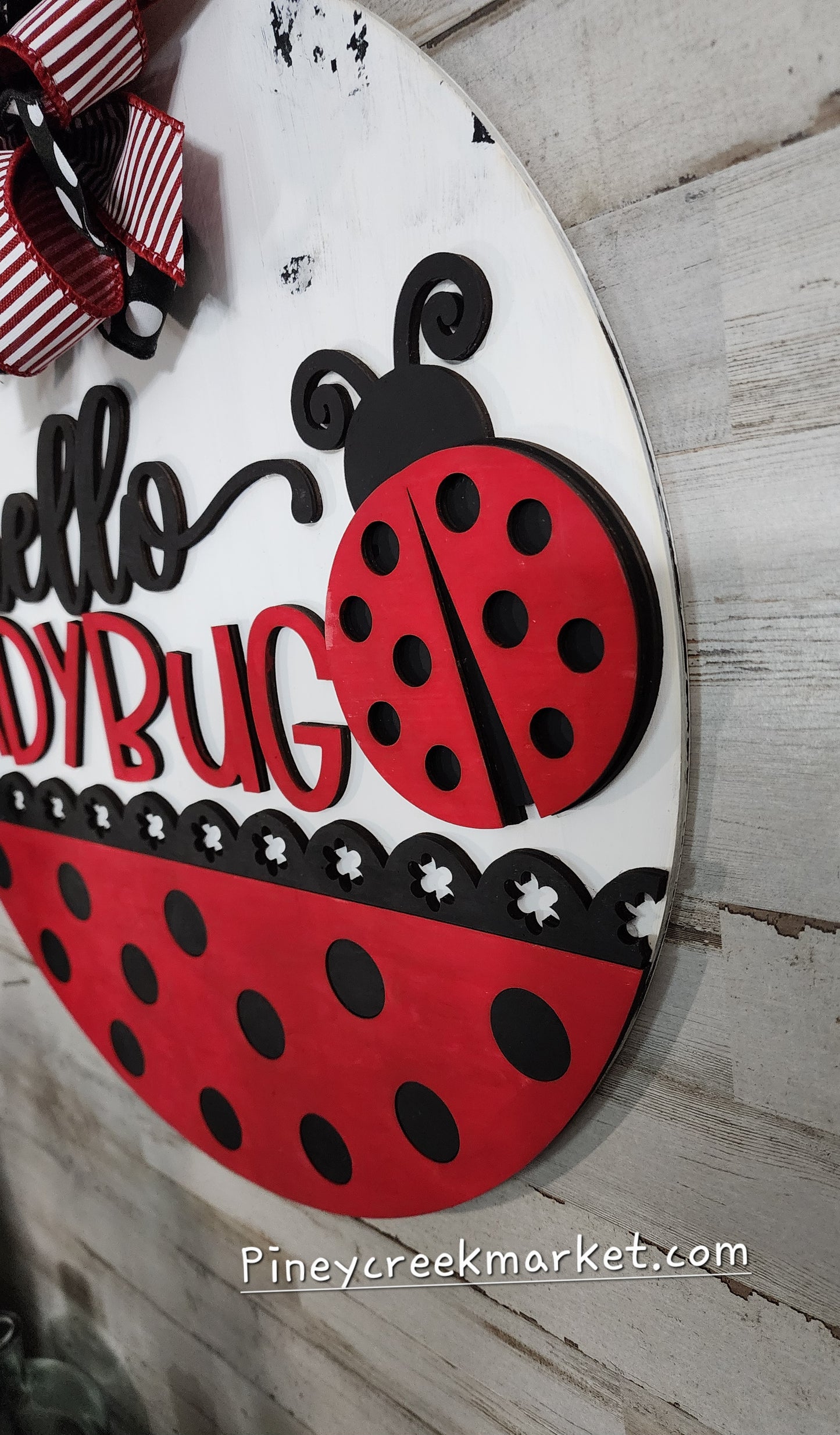 Hello Lady Bug Door Hanger