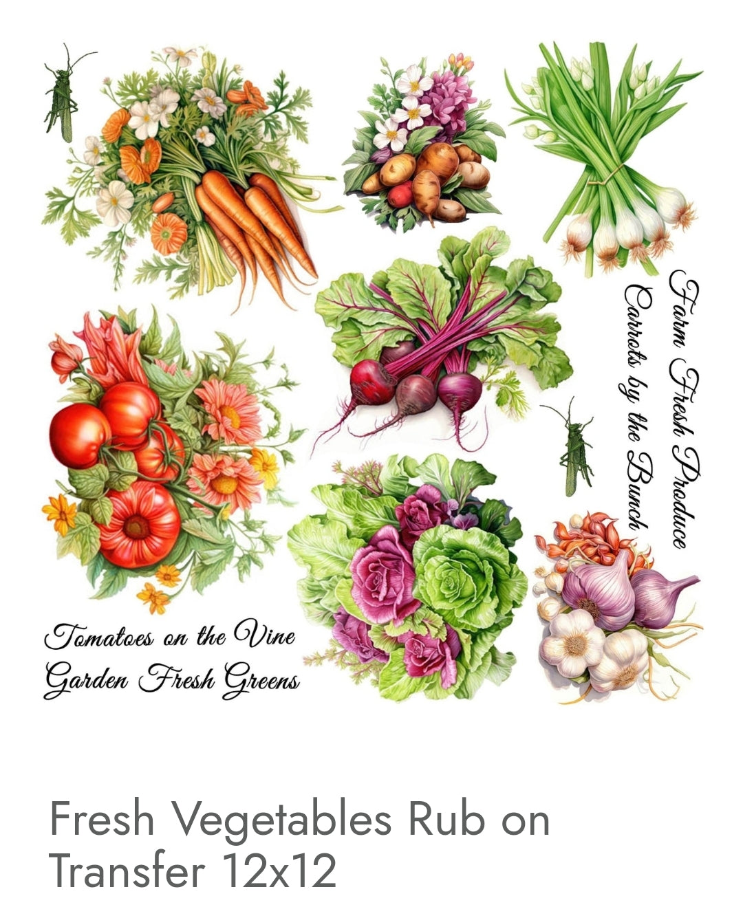VEGETABLES Veggies Rub-on transfers one set