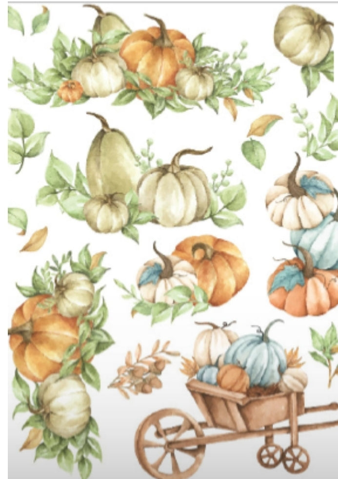 Harvest Pumpkins Rub-on transfers