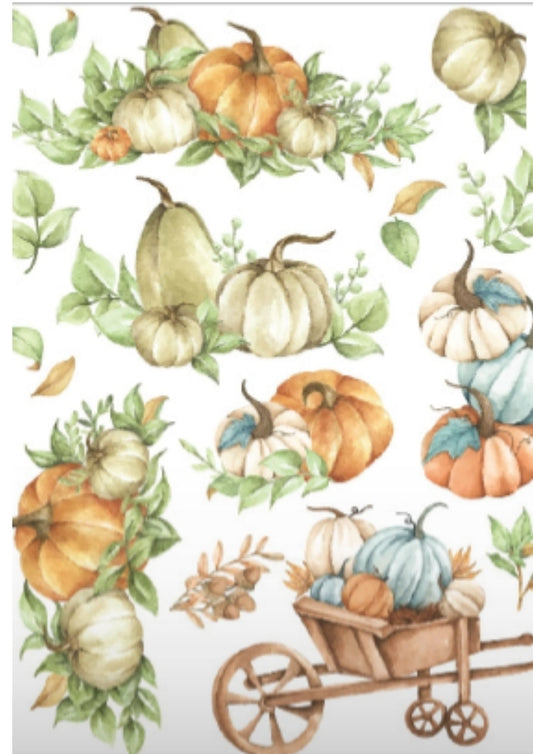 Harvest Pumpkins Rub-on transfers