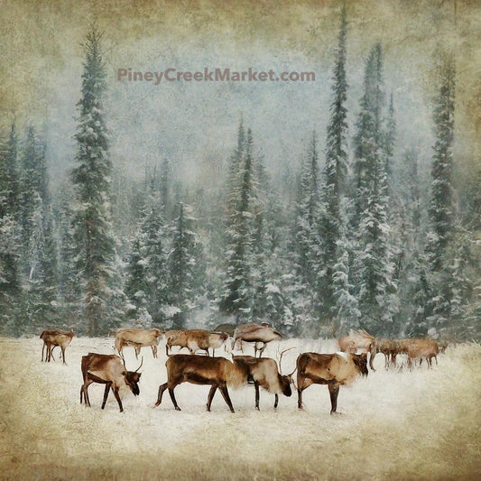 Reindeer Herd 1  DOWNLOAD ONLY printable!